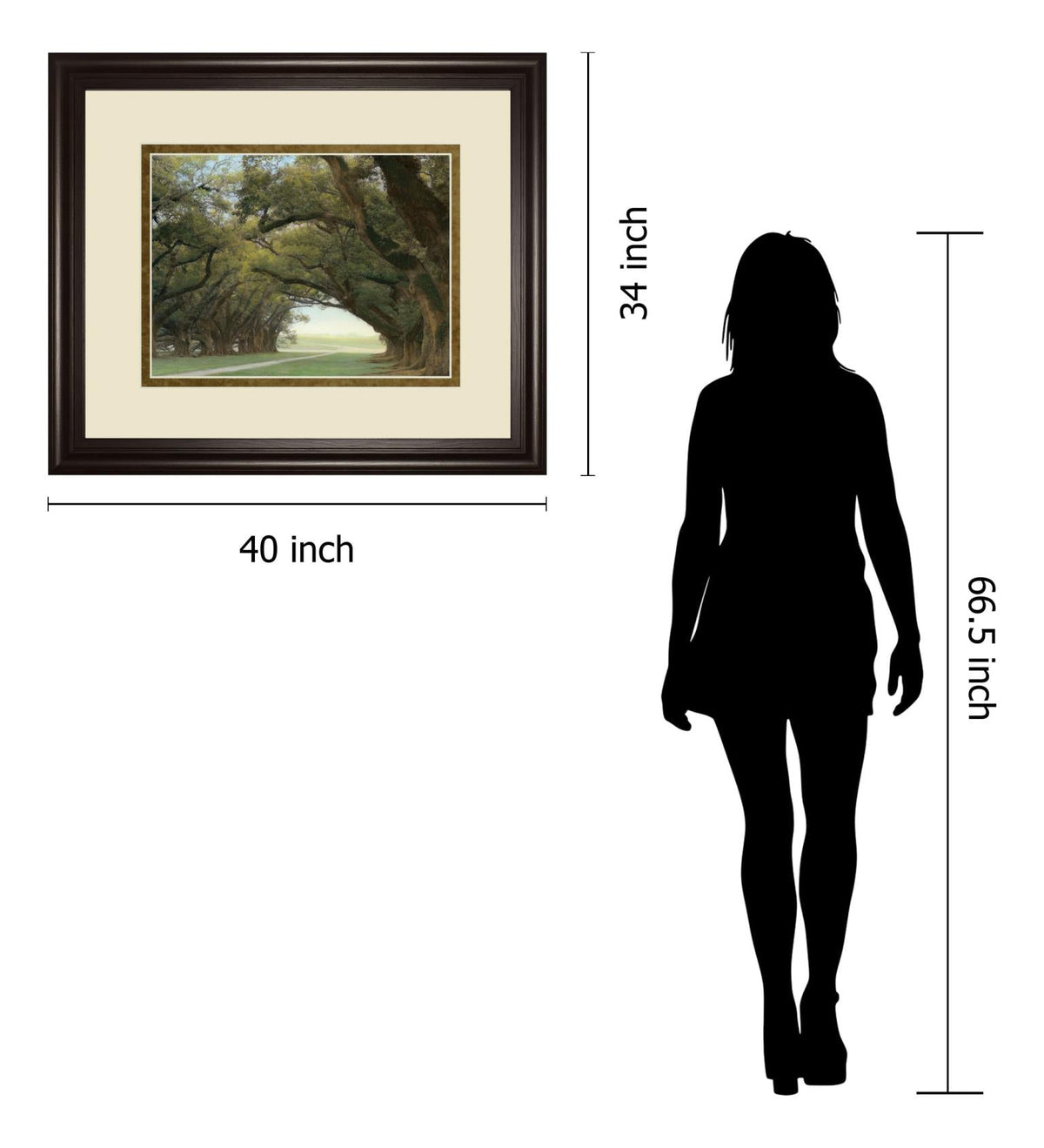 Alley Of The Oaks By William Guion  ***Monl*** 34X40 Framed Print