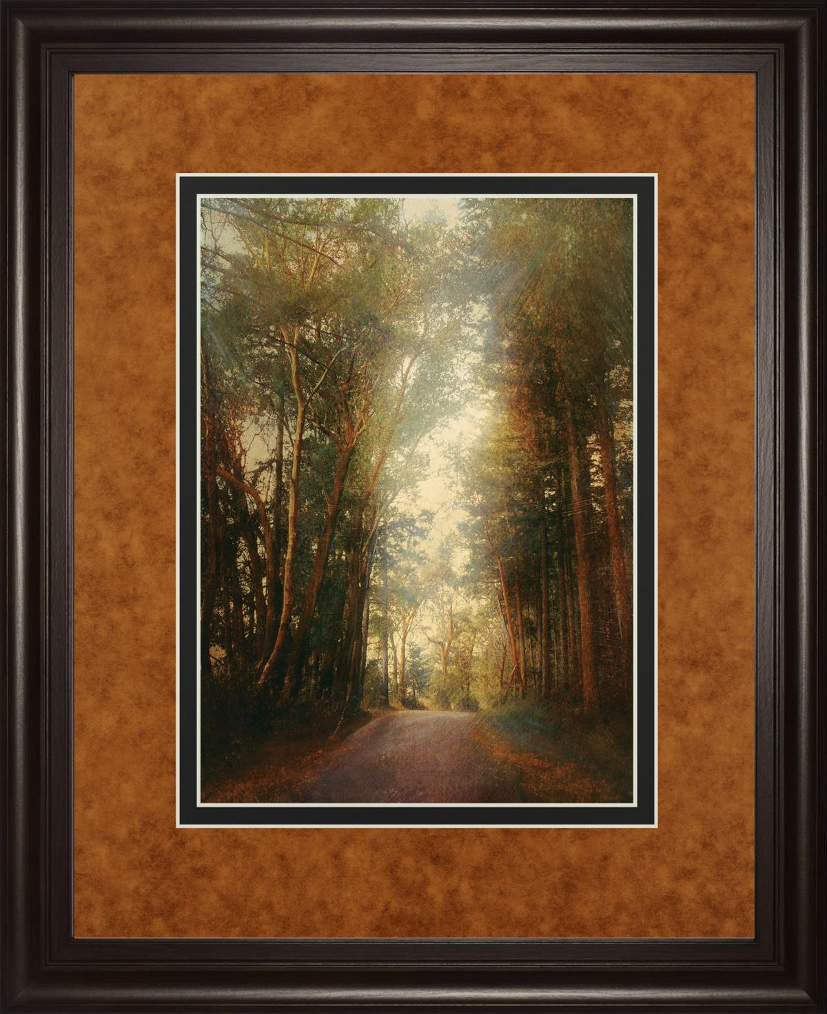 Road Of Mysteries Ii By Amy Melious  ***Monl*** 34X40 Framed Print