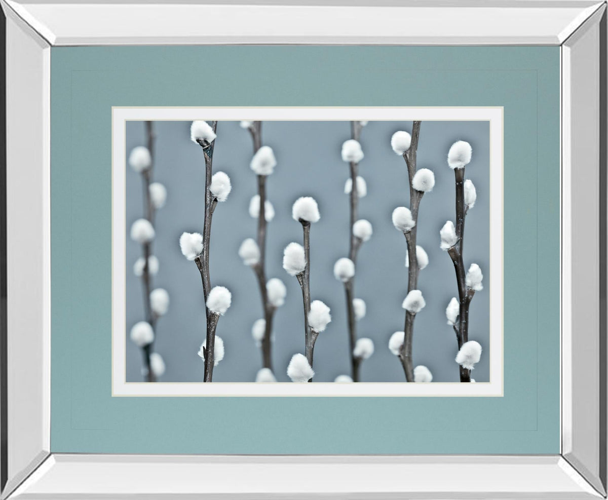 Mirrored Frame Protected By Frank Assaf 34X40 Mirror Frame Print