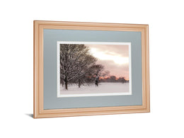 Rosy Sunset By Frank Assaf 34X40 Framed Print