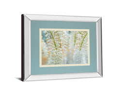 Mirrored Frame Humbled By Frank Assaf 34X40 Mirror Frame Print