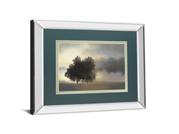 Mirrored Frame Misty Morning By Nan ***Monl*** 34X40 Mirror Frame Print
