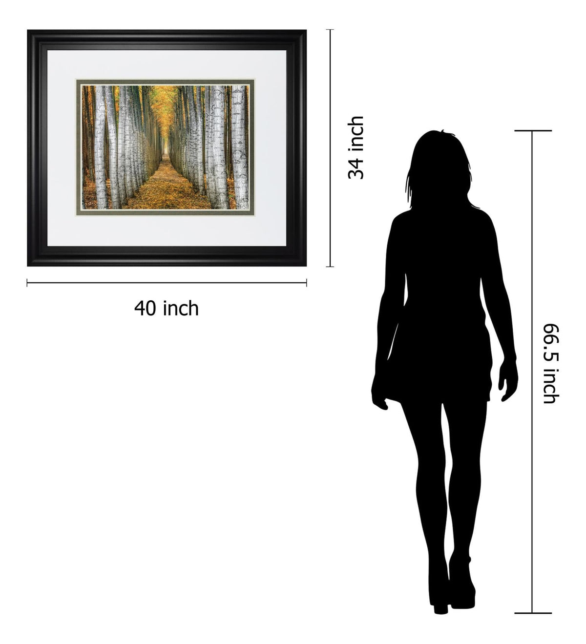 Tree Farm By Cahill 34X40 Framed Print