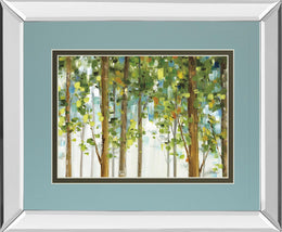 Mirrored Frame Forest Study I Crop By Lisa Audit 34X40 Mirror Frame Print