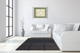Mirrored Frame White Bright Poppies By Novak 34X40 Mirror Frame Print
