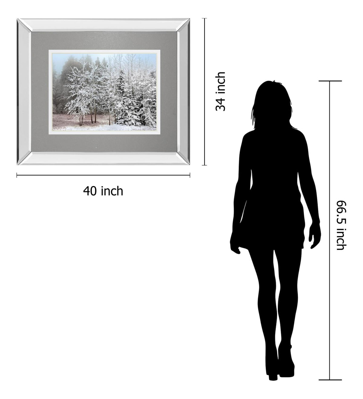 Frosty Morning By Mike Jone 34X40 Mirror Frame Print