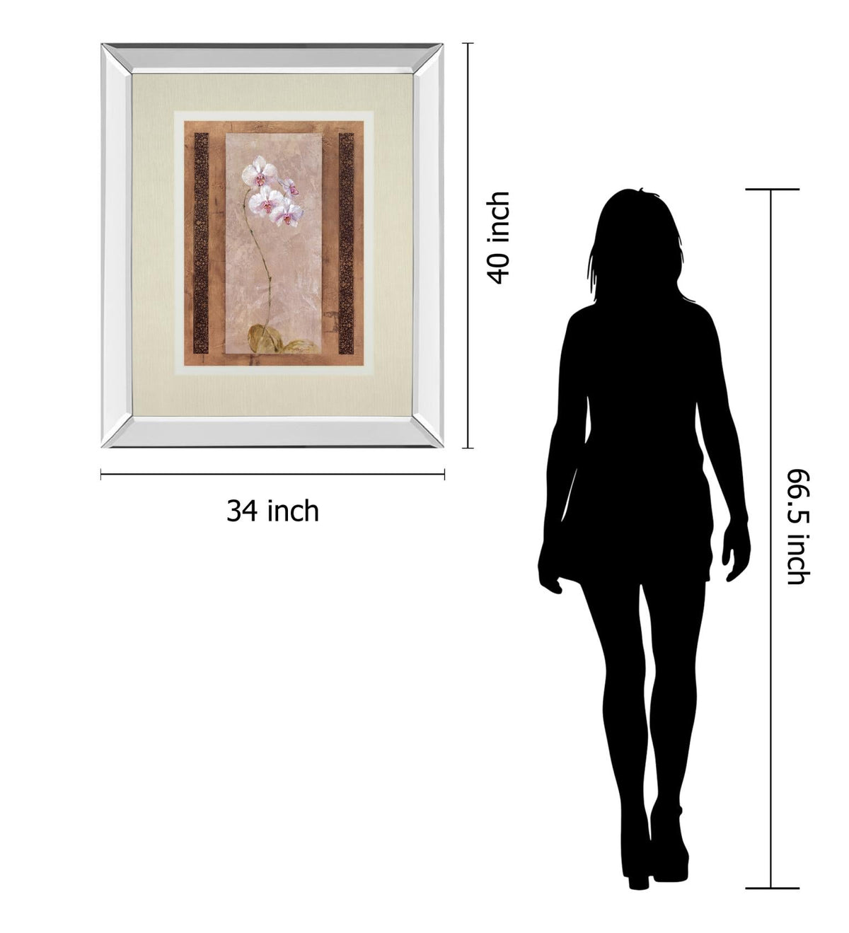 Contemporary Orchid I By Carney 34X40 Mirror Frame Print