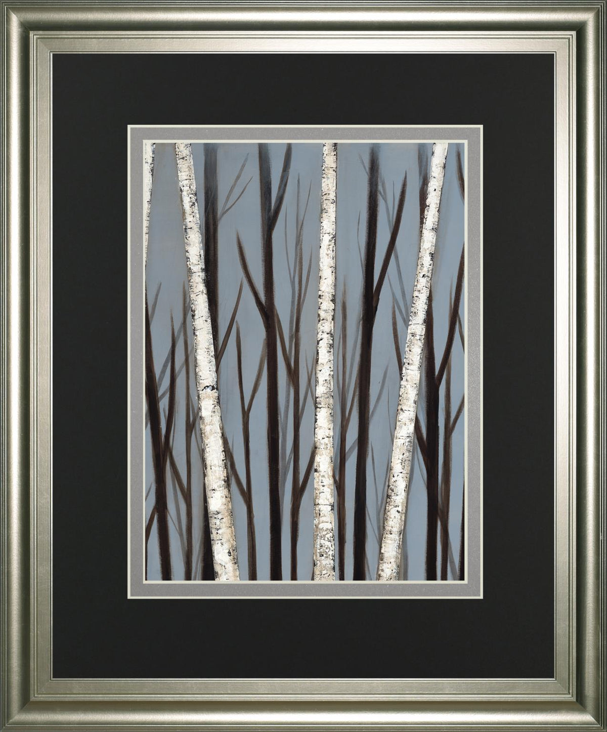 Birch Shadows By Eve 34X40 Framed Print