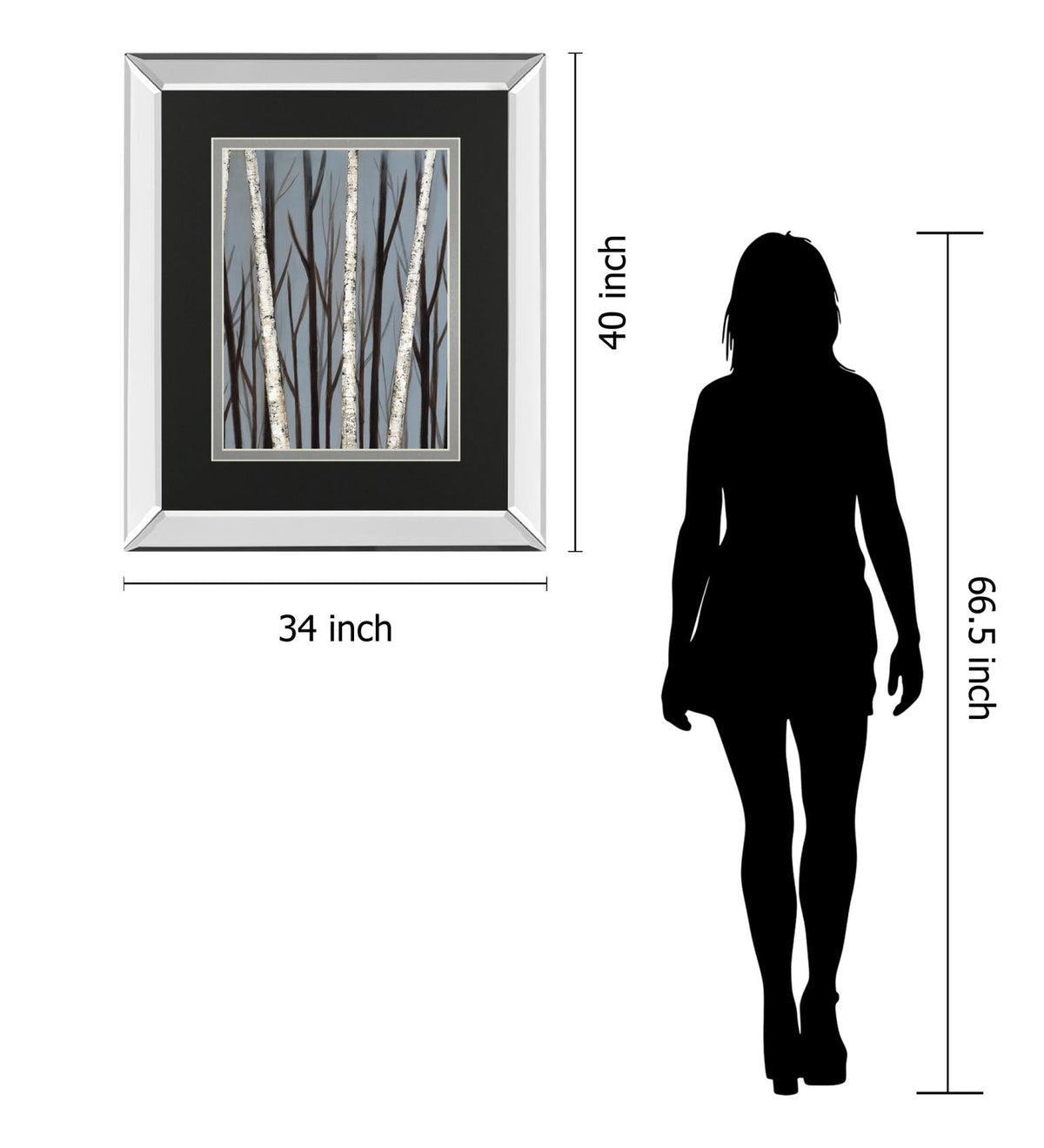 Birch Shadows By Eve 34X40 Mirror Frame Print