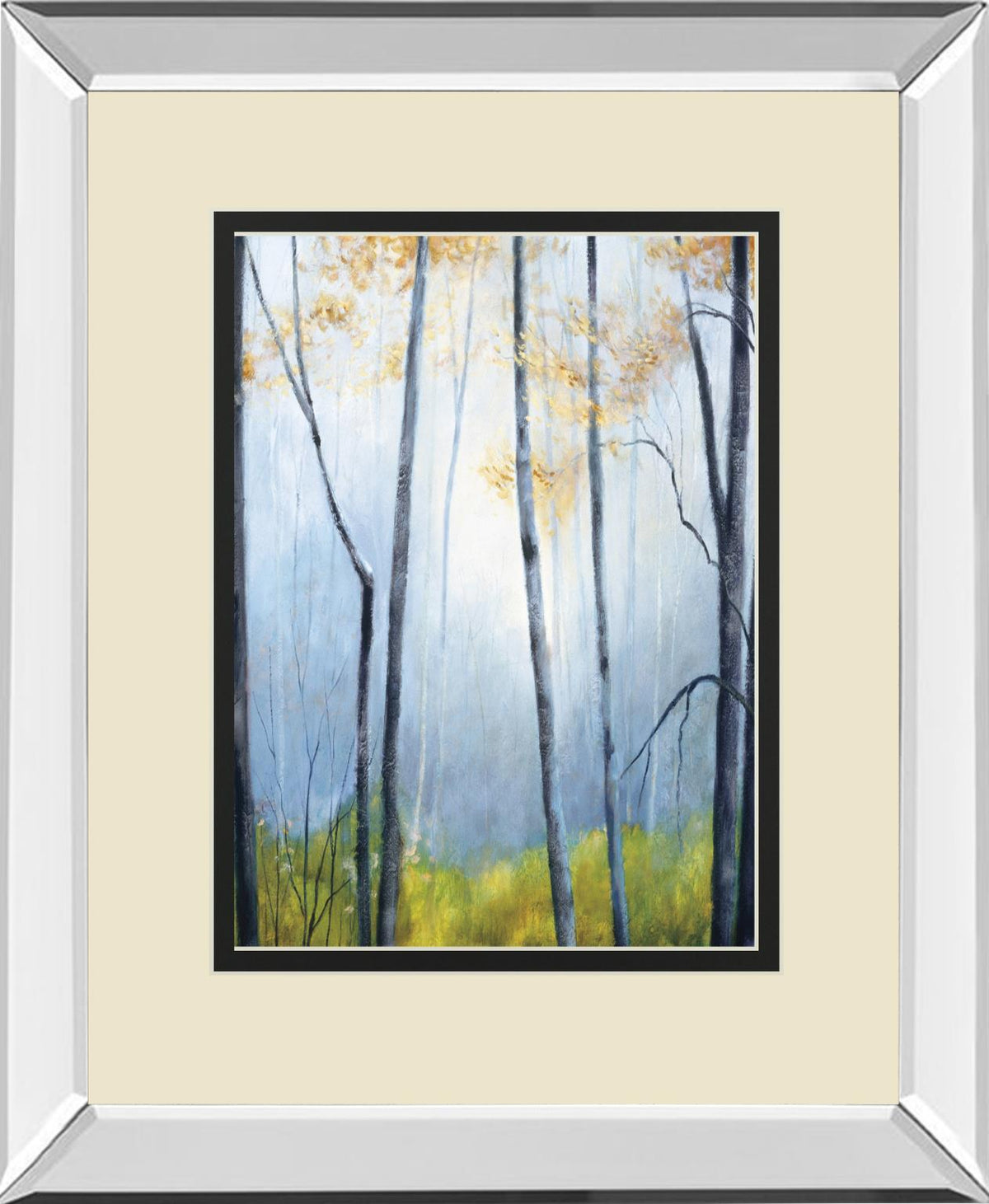 Tranquil River By Striffolino, R. 34X40 Mirror Frame Print