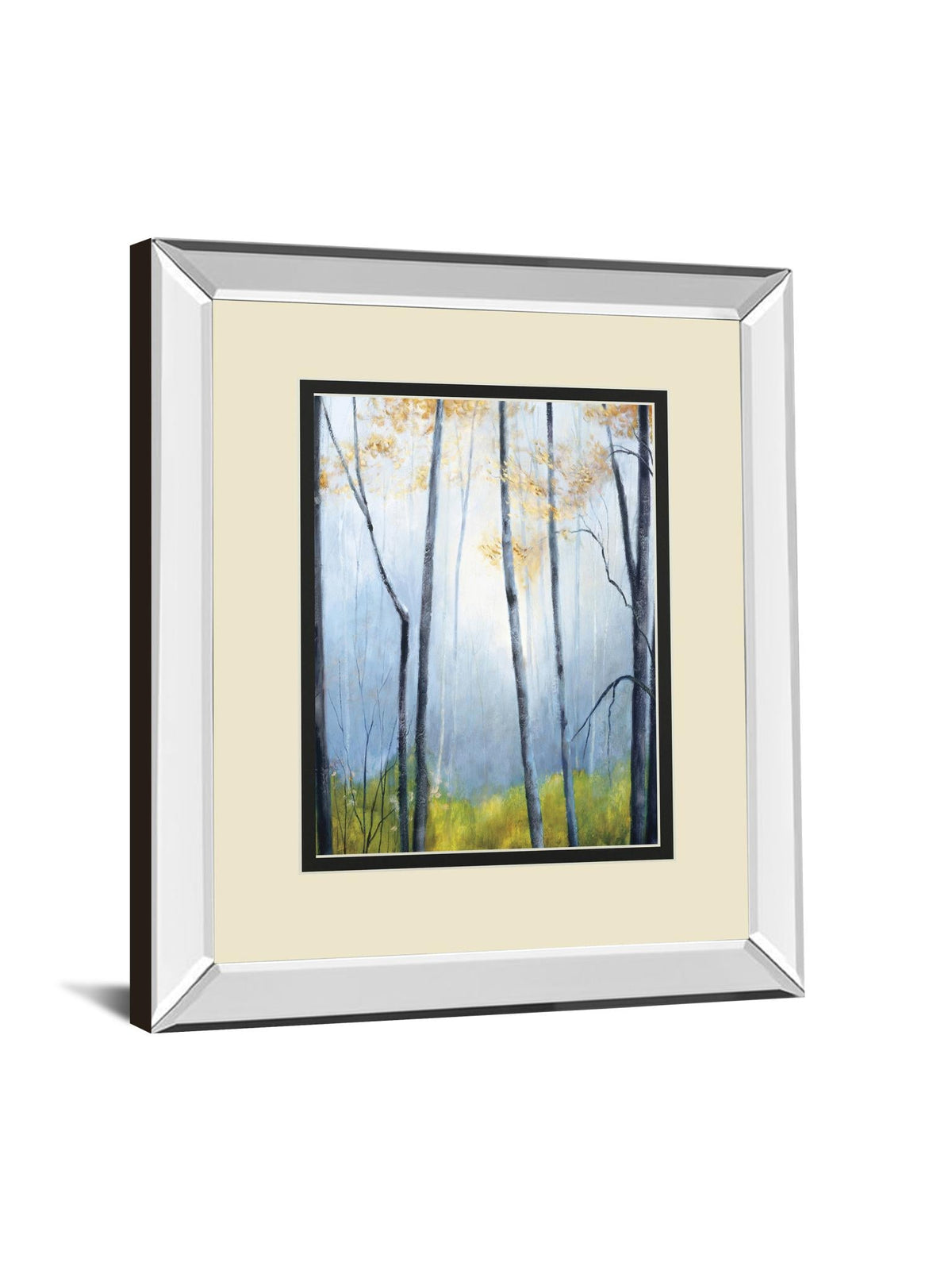 Tranquil River By Striffolino, R. 34X40 Mirror Frame Print