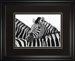 A Safe Place By Papiorek 34X40 Framed Print
