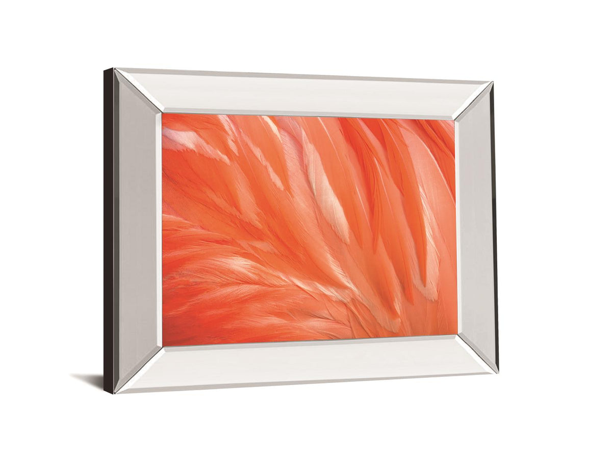 Danza De La Pluna By Ortegam X. 34X40 Mirror Frame Print