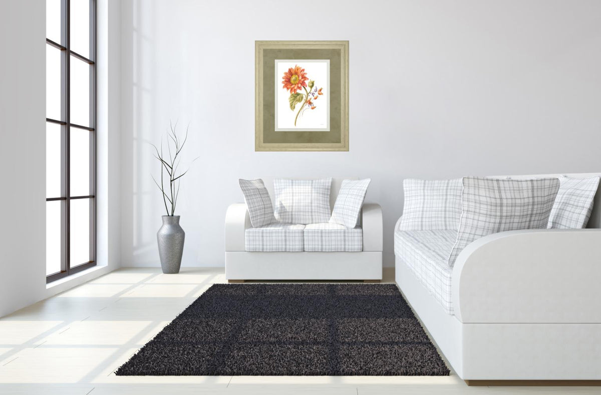 Floursack Autumn Ii On White By Danhui Nai 34X40 Framed Print
