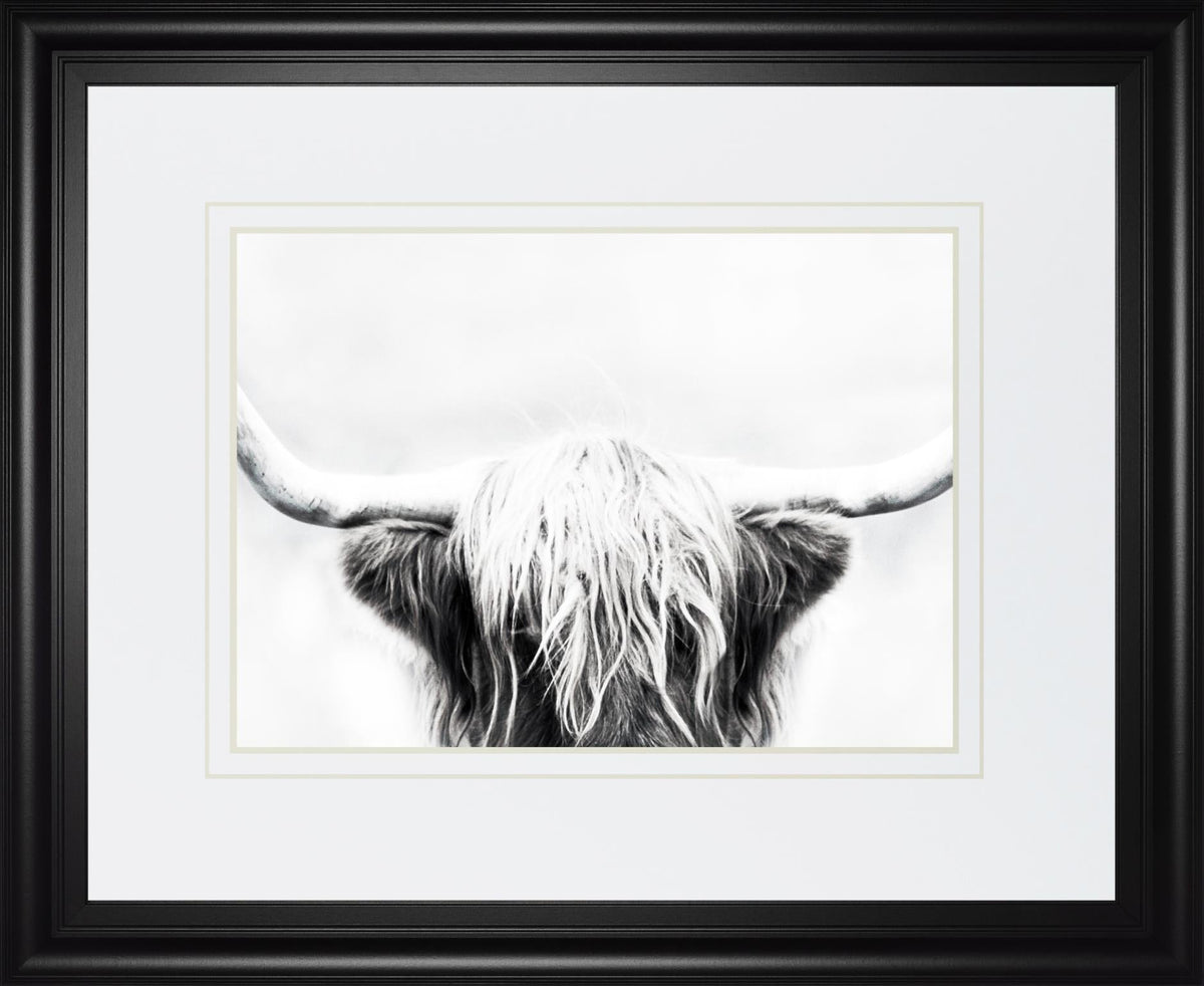 Longhorn By Danita Delimont 34X40 Framed Print