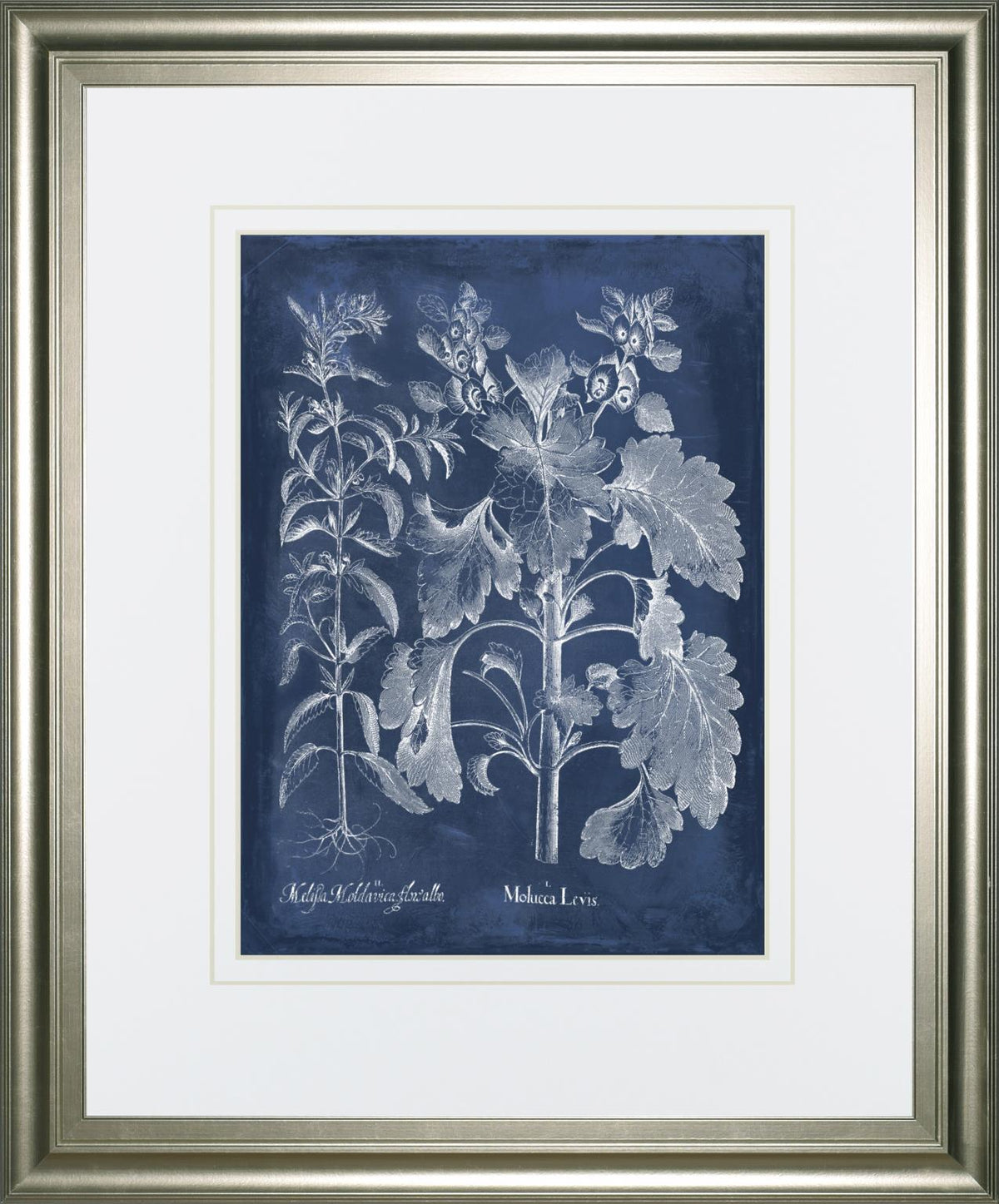 Besler Leaves In Indigo I By Vision Studio 34X40 Framed Print