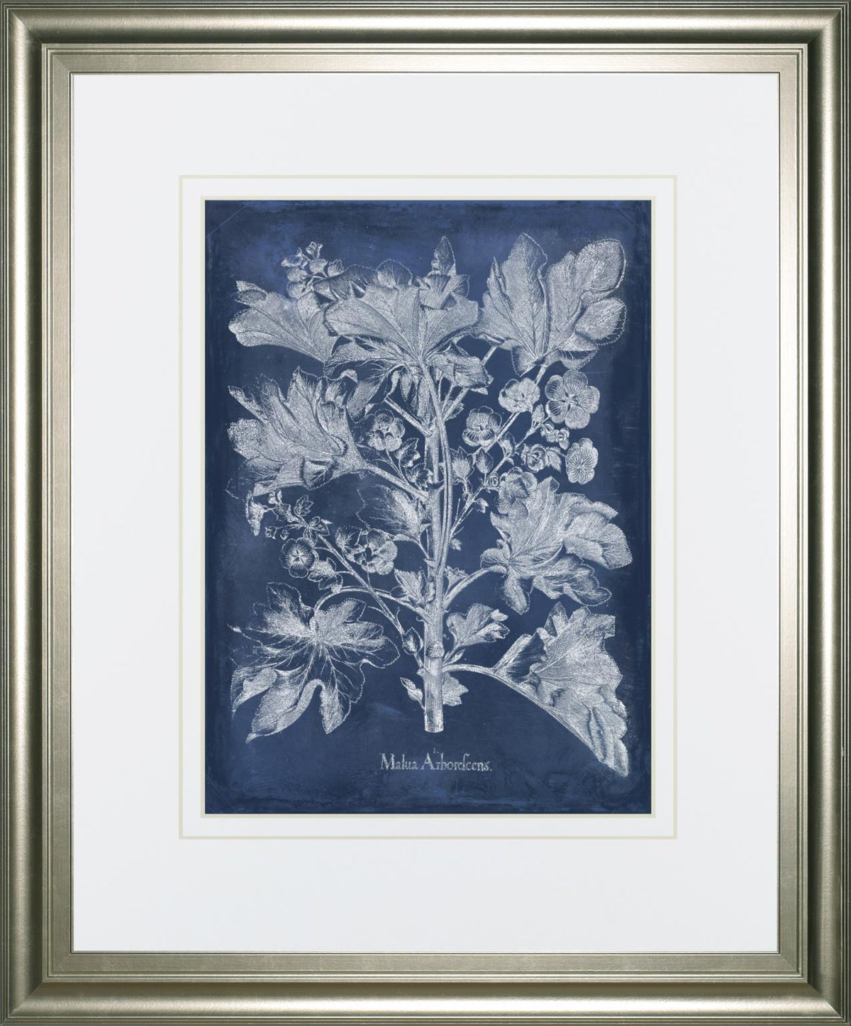 Besler Leaves In Indigo Ii By Vision Studio 34X40 Framed Print