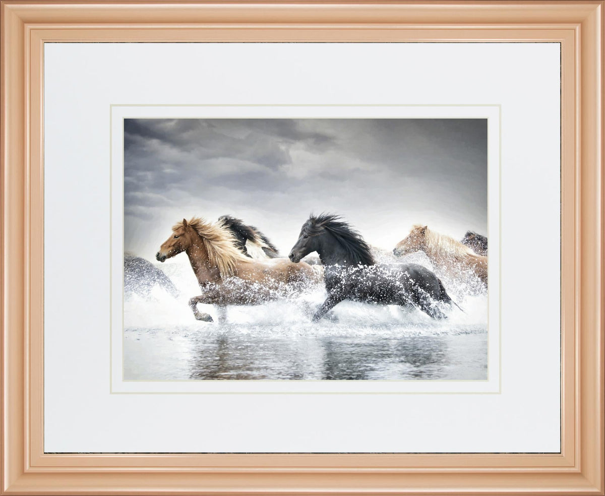 Horse Run V By Phburchett 34X40 Framed Print