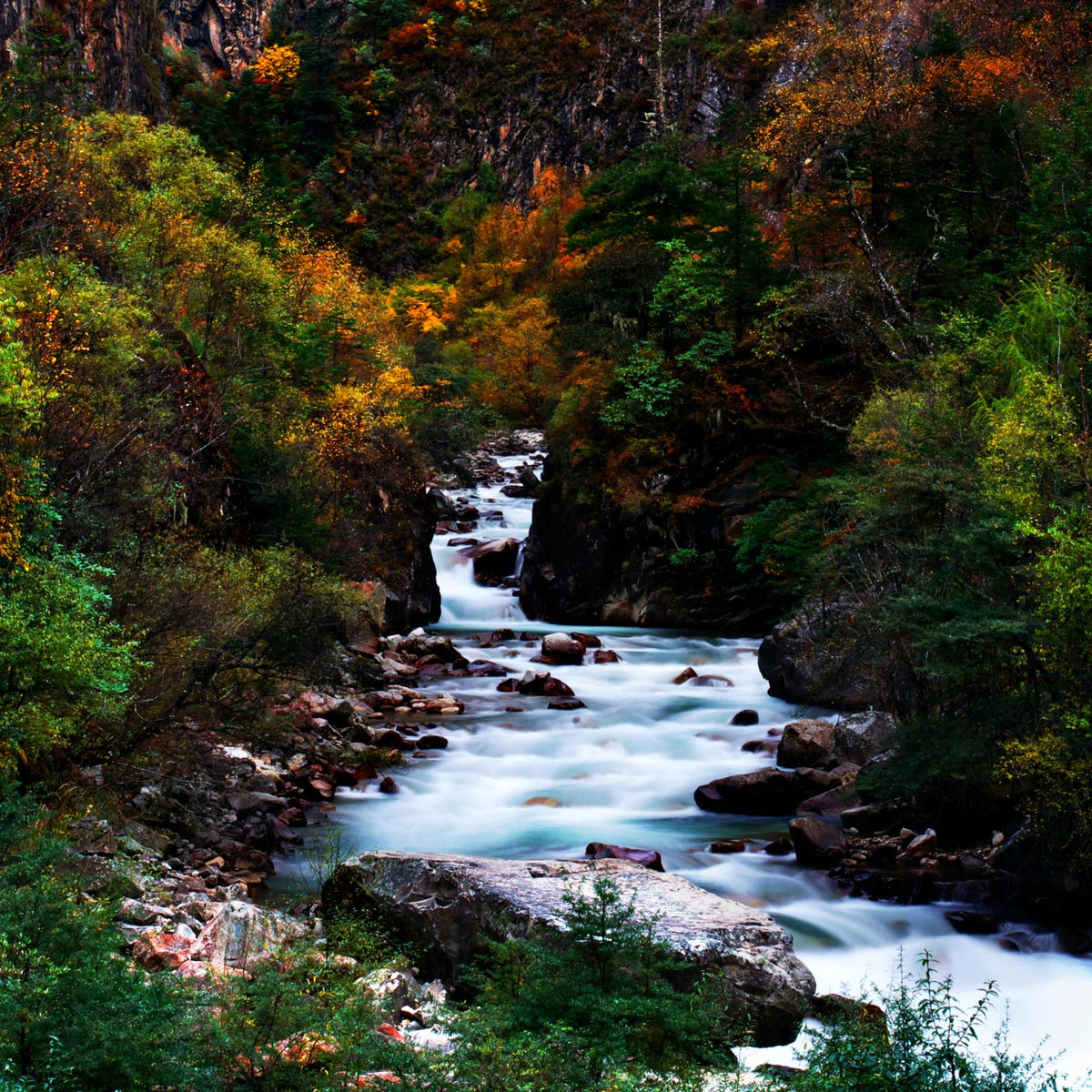 Stream Me (Framed) Giclee Canvas