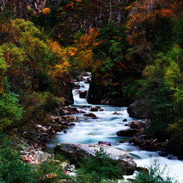Stream Me (Framed) Giclee Canvas