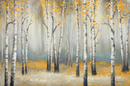 Golden September Birchmichaelmarcon (Framed) Giclee Canvas