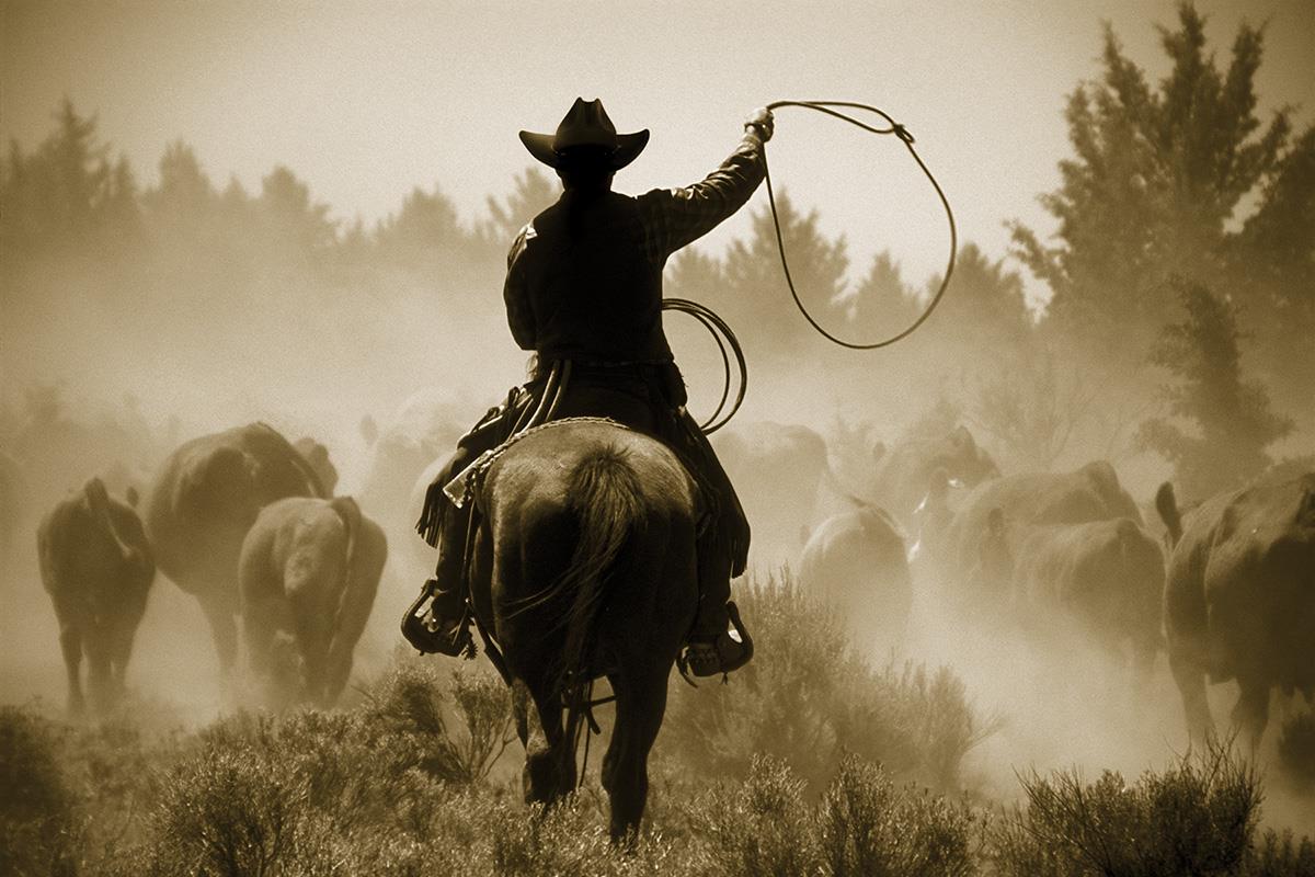 Rope And Ride By Danita Delimont (Framed) Giclee Canvas