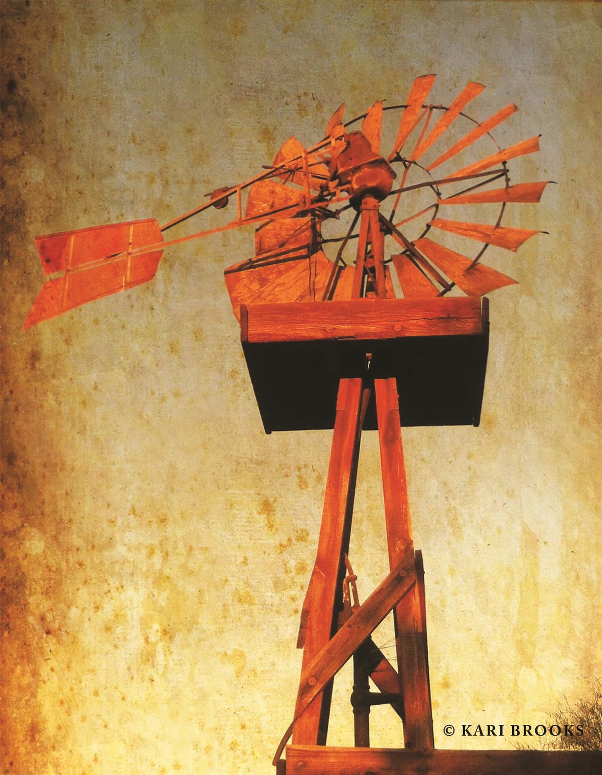 Chip'S Windmill By Kari Brooks (Framed) Giclee Canvas