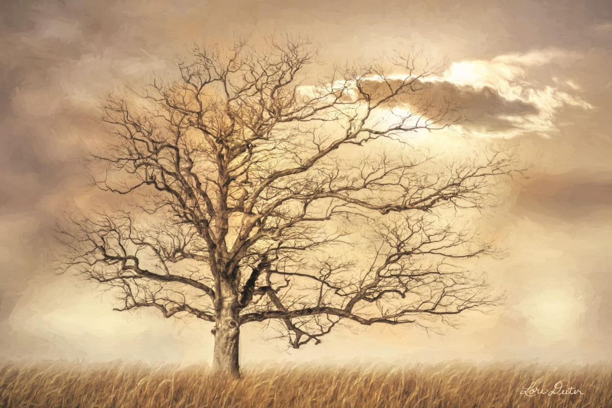 Golden Tree By Lori Deiter (Framed) Giclee Canvas