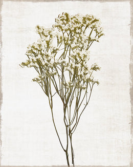 Farmhouse Pressed Flower Ii By Natalie Carpentieri (Framed) Giclee Canvas