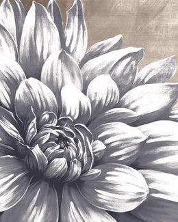 Charming Floral I By Dogwood Portfolio (Framed) Giclee Canvas