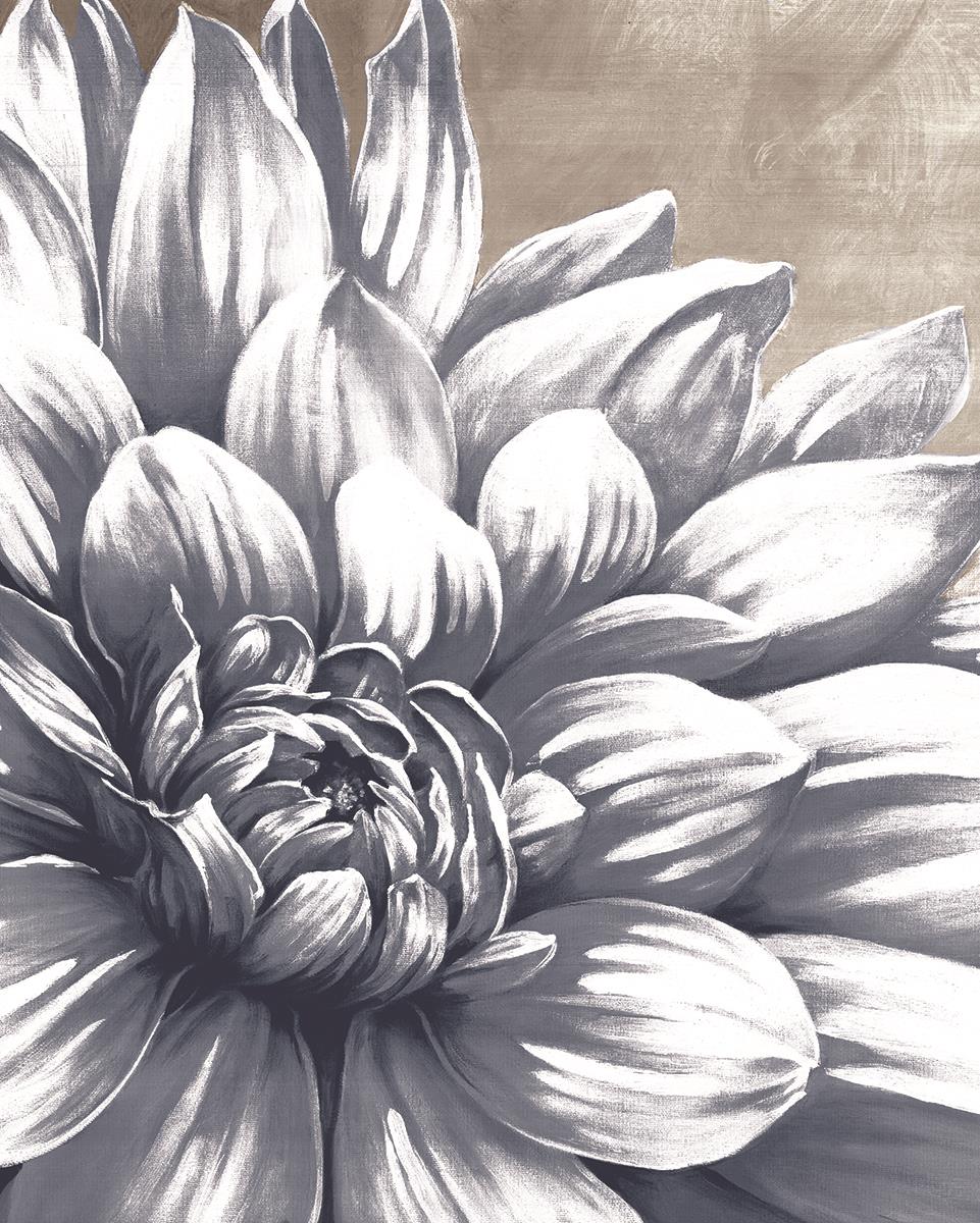Charming Floral I By Dogwood Portfolio (Framed) Giclee Canvas