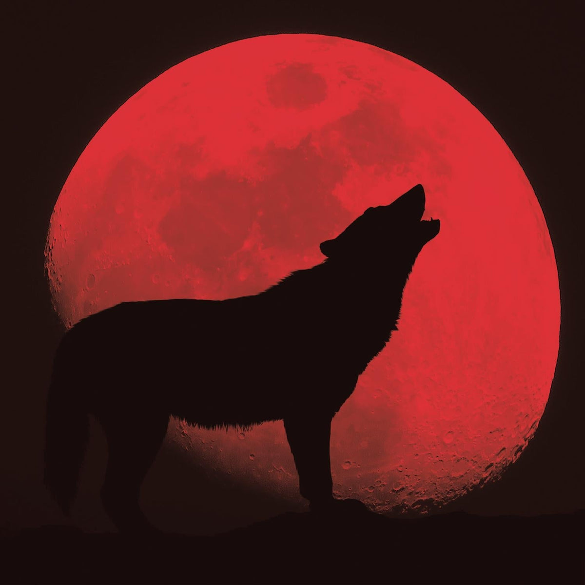 Red Wolf By Classy Art (Framed) Giclee Canvas