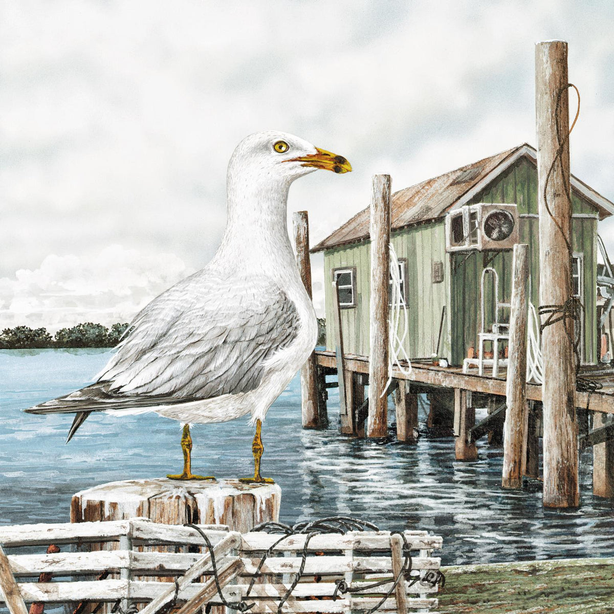 Majestic Seagull By James Harris (Framed) Giclee Canvas