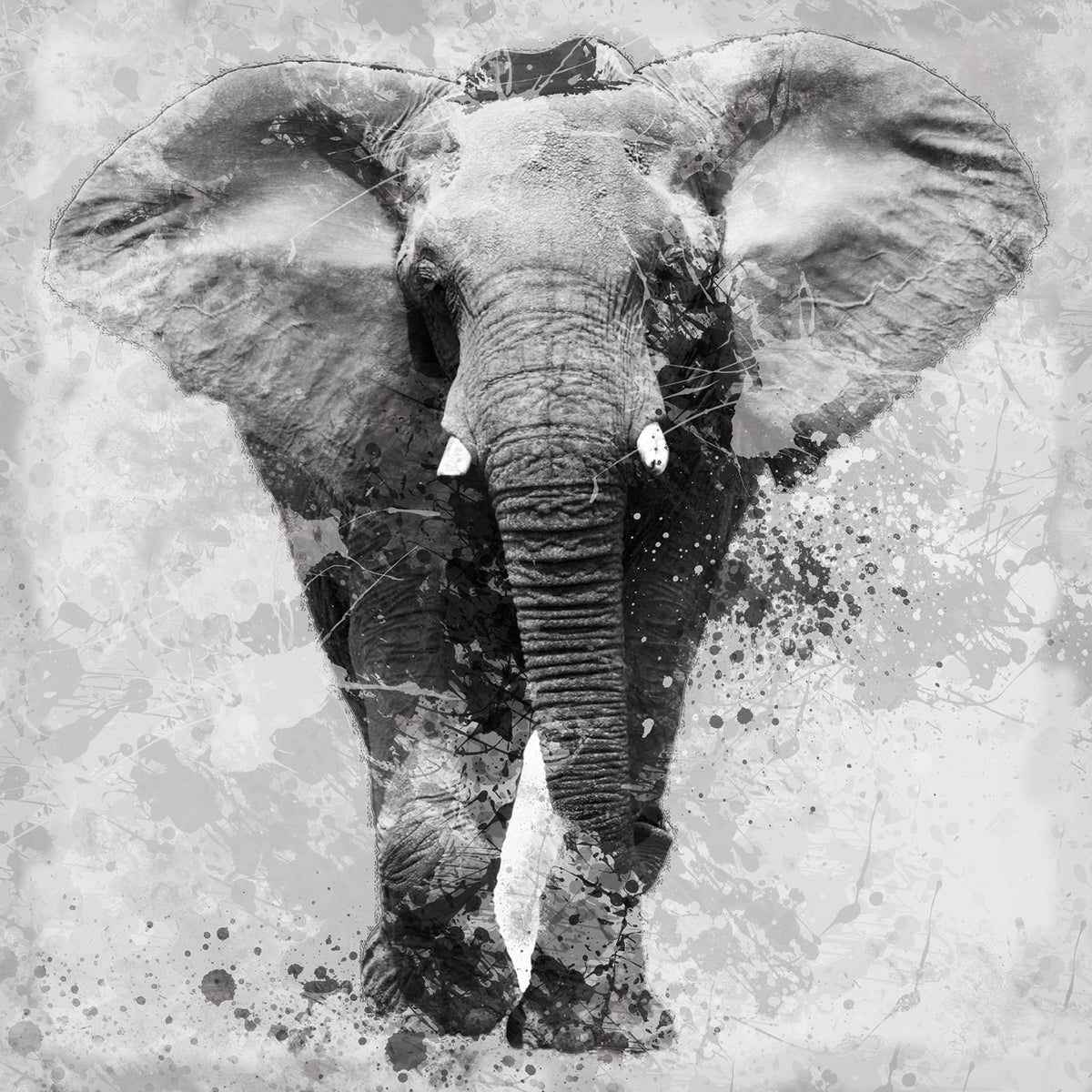 Proud Elephant By Carol Robinson (Framed)(Small) Giclee Canvas