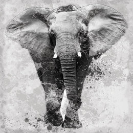 Proud Elephant By Carol Robinson (Framed)(Small) Giclee Canvas
