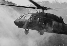 Black Hawk (Small)(Framed) Giclee Canvas