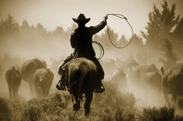 Rope And Ride By Danita Delimont (Small) (Framed) Giclee Canvas