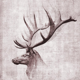 Open Range Ii By John Butler (Small) (Framed) Giclee Canvas