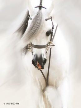 Dream Horse By Kari Brooks (Framed)(Small) Giclee Canvas