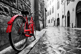 Red Bicycle (Small)(Framed) Giclee Canvas
