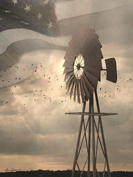 Land That I Love Windmill By Lori Deiter (Small)(Framed) Giclee Canvas