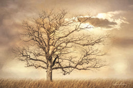 Golden Tree By Lori Deiter (Small)(Framed) Giclee Canvas
