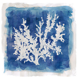 Coastal Washes Coral Ii By Carol Robinson (Small)(Framed) Giclee Canvas