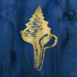 Indigo Sea Treasure I By Carol Robinson (Small)(Framed) Giclee Canvas