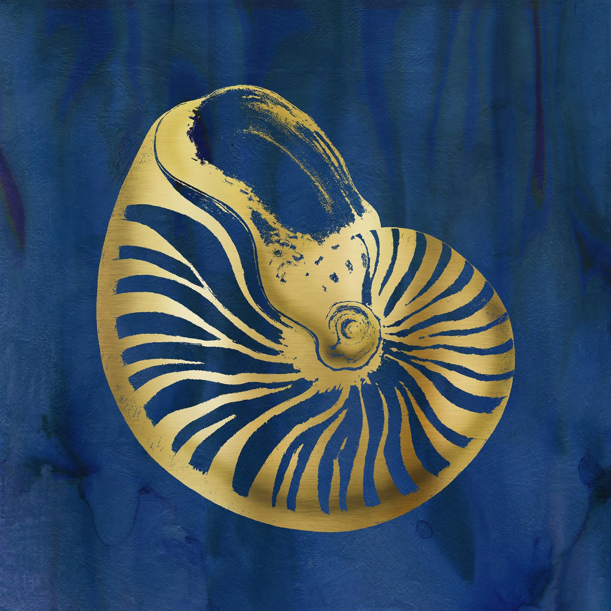 Indigo Sea Treasure V By Carol Robinson (Small)(Framed) Giclee Canvas