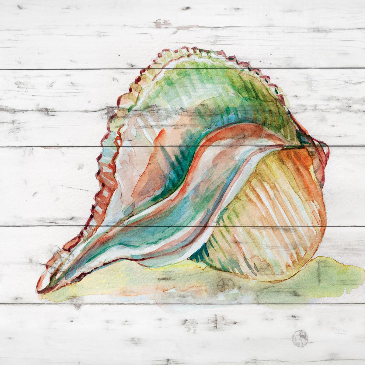 Tye Dyed Shell Ii By Carol Robinson (Small)(Framed) Giclee Canvas