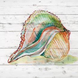 Tye Dyed Shell Ii By Carol Robinson (Small)(Framed) Giclee Canvas