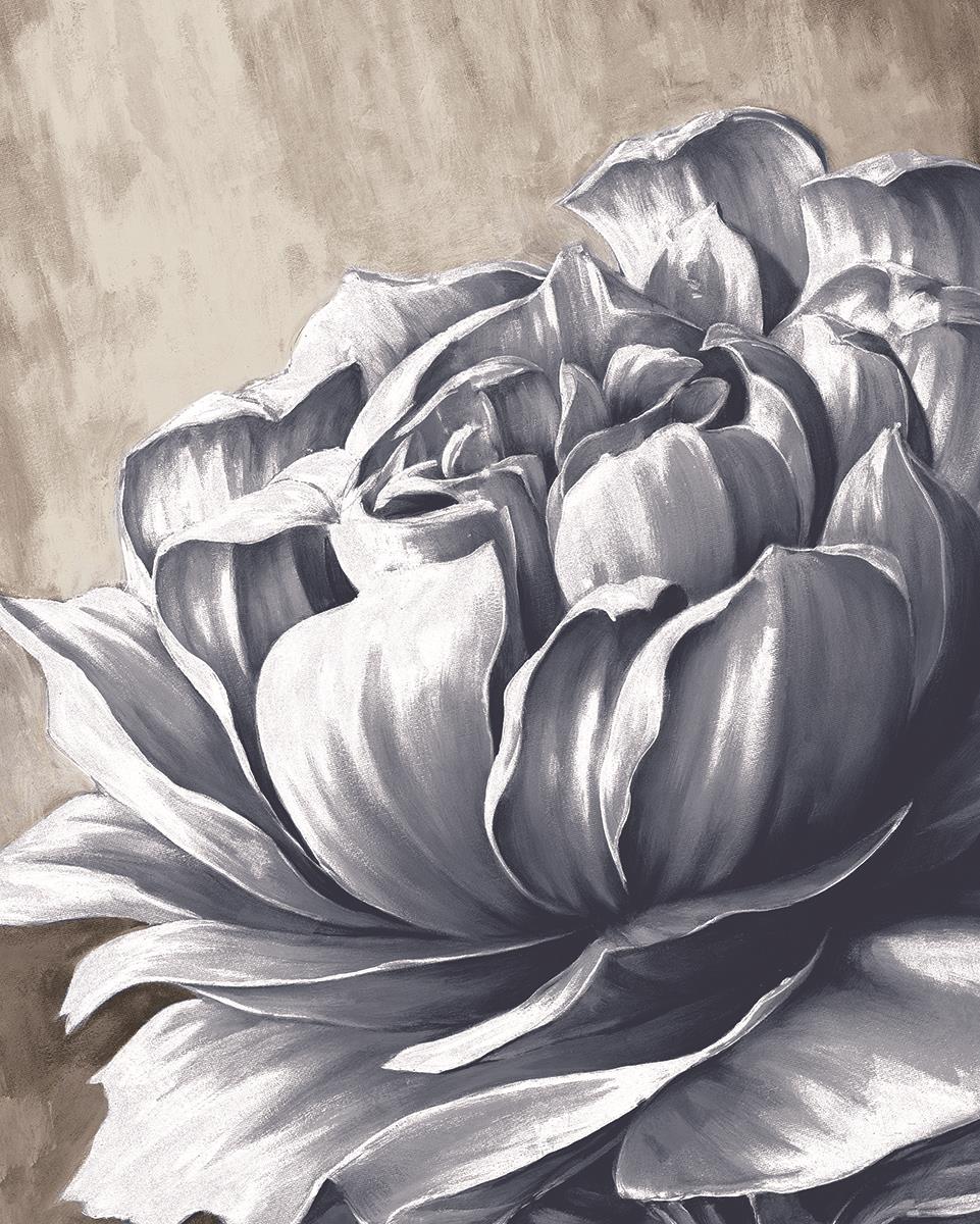 Charming Floral Ii By Dogwood Portfolio (Small)(Framed) Giclee Canvas