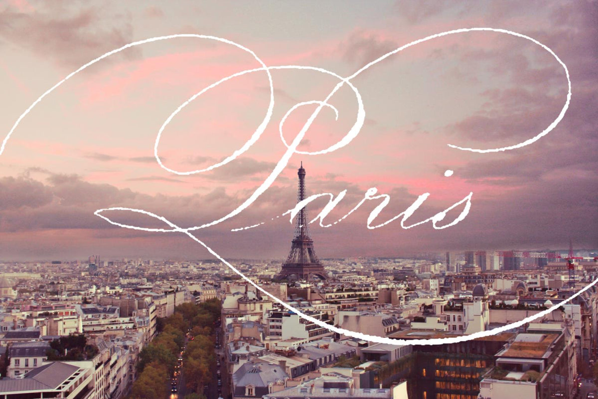 Paris Views By Emily Navas (Small)(Framed) Giclee Canvas