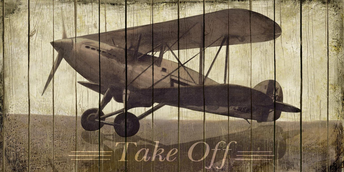 Take Off By Merri Pattinian (Small)(Framed) Giclee Canvas